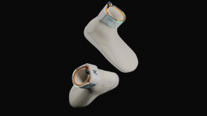 Credit: Bradley Wagman, Viktor Bokisch, SOLE¹