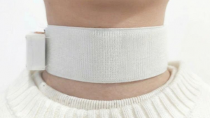 Image by: University of Cambridge