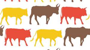 Transkei Cows - textile design. 