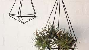 Elsje Designs.